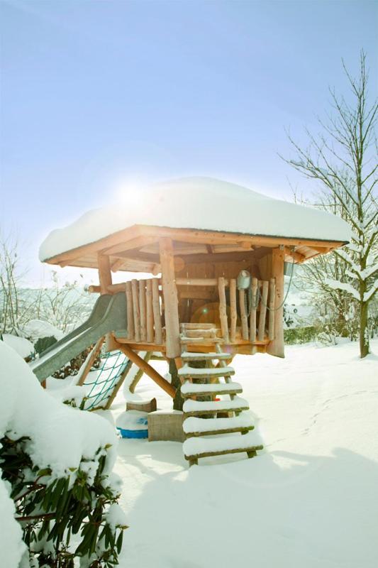 Haus Alexandra Inkl Meinecard Plus Willingen (Upland) Exterior foto