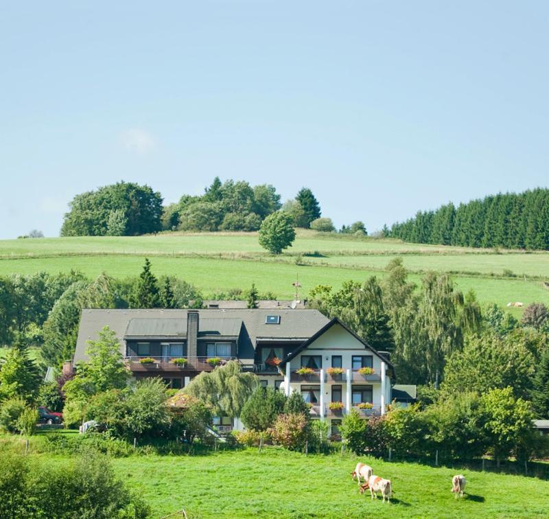 Haus Alexandra Inkl Meinecard Plus Willingen (Upland) Exterior foto
